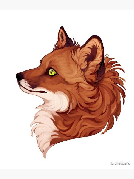 Giulialibard лис