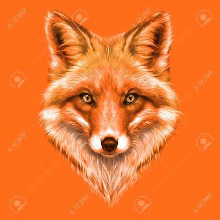 Голова лисы