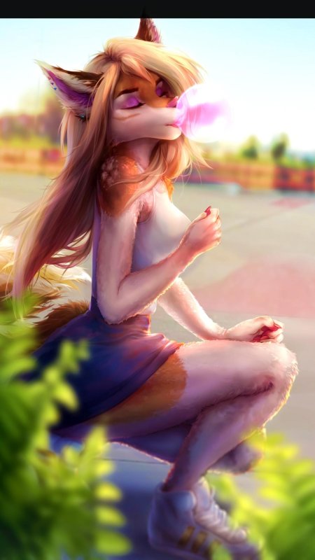 Фурия лисичка рейчел