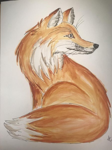 Лиса рисунки