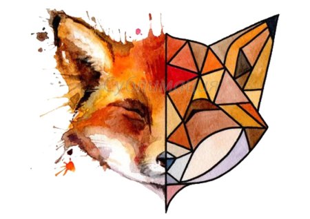 Геометрическая лиса