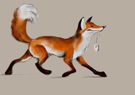 Рисунки лисичек