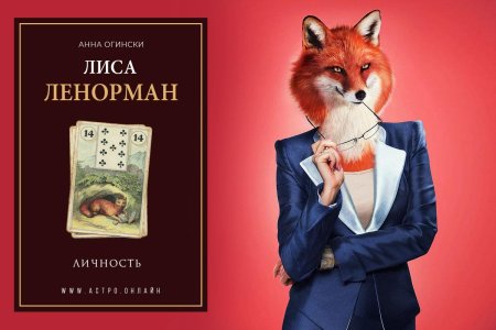 Лиса 🦊