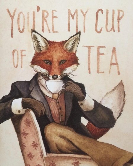 Лисы кульпео фокс