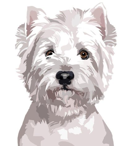 Вест хайленд терьер