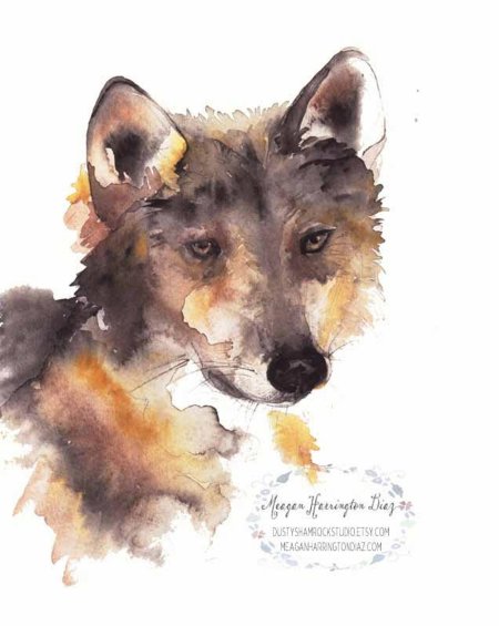 Акварельные животные