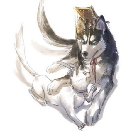 Хаски и его белый кот-шицзунь аниме