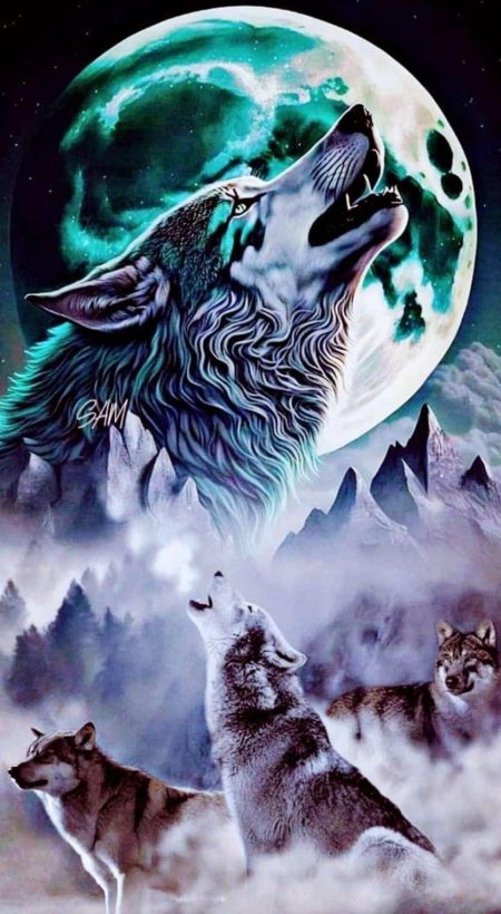Волк воет на луну