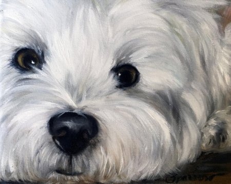 Вест уайт шнауцер терьер