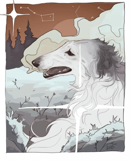 Русская борзая