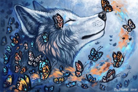 Рисунки волк