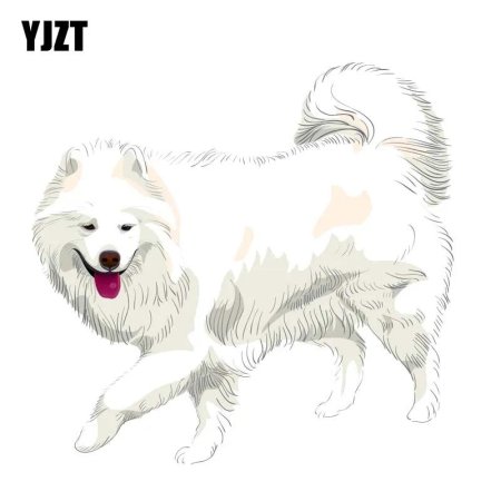 Самоедская собака