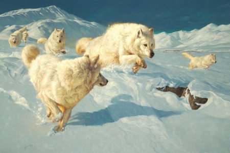 Анималист грег бичем