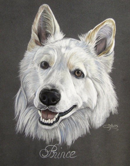 Белая овчарка