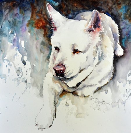 Собака акварель