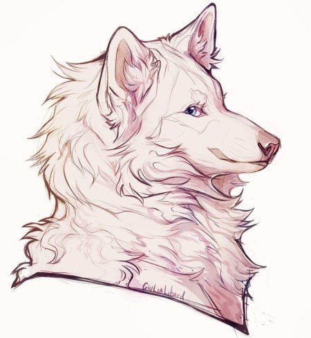 Волк карандашом