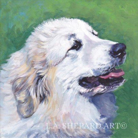 Пиренейская горная собака