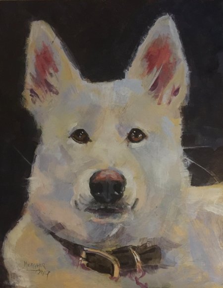 Белая швейцарская овчарка