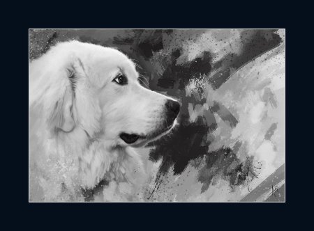 Абруццкая овчарка маремма