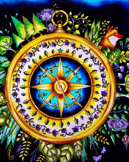 Зачарованный лес компас