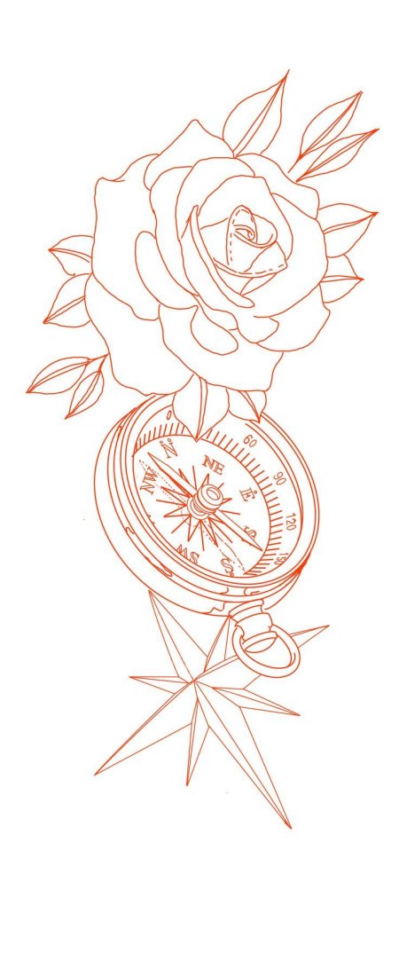 Роза компас