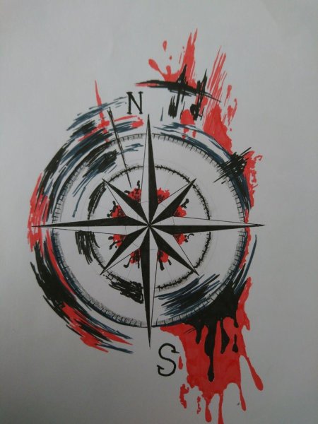 Роза ветров трешполька