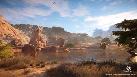 Assassin's creed origins пустыня