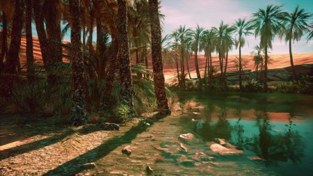 Пустыня сахара оазис