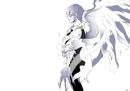 Аниме аллен уолкер ной