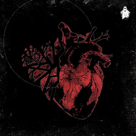 Сердце человека на темном фоне