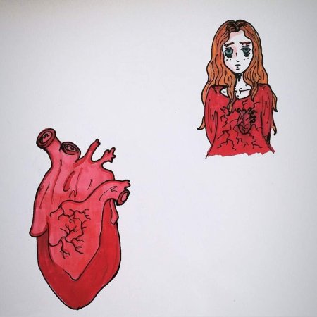 Человеческое сердце