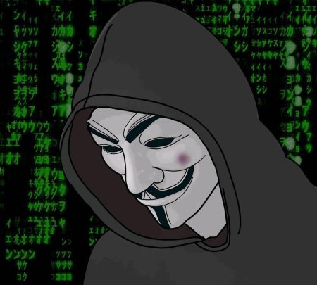 Анонимус хакер