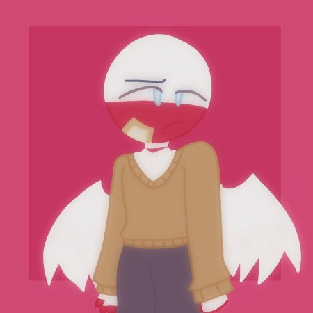 Польша кантрихьюманс