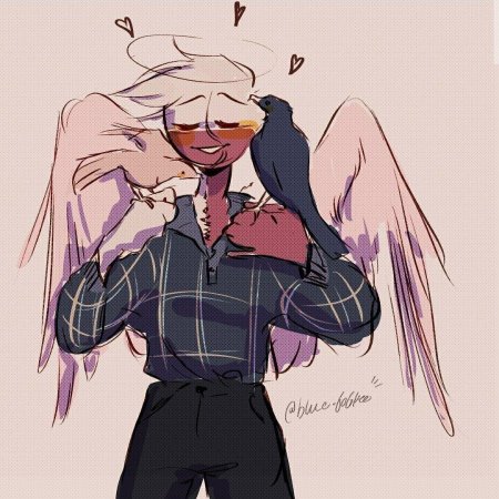 Кантри хьюманс америка