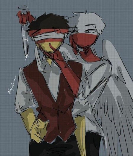 Кантрихьюманс польша и германия