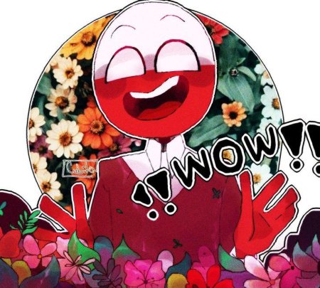 Кантри хуманс польша