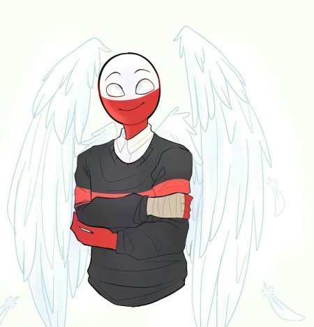 Кантри хьюманс польша