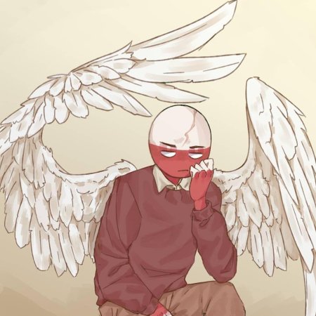 Countryhumans польша с крыльями