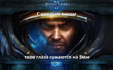 Тайкус финдли старкрафт