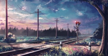 Макото синкай железная дорога