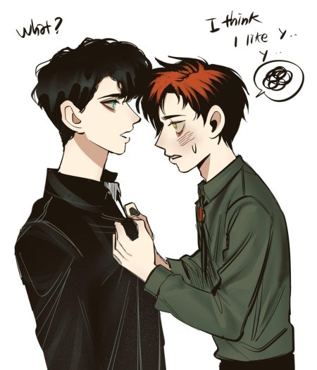 Том риддл гарри поттер шип