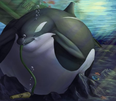 Касатка и дельфин