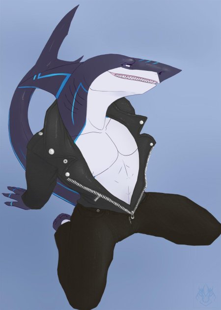 Фурри акулы самцы