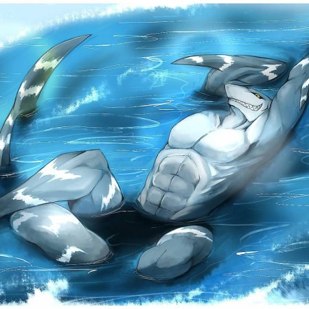 Фурри акула