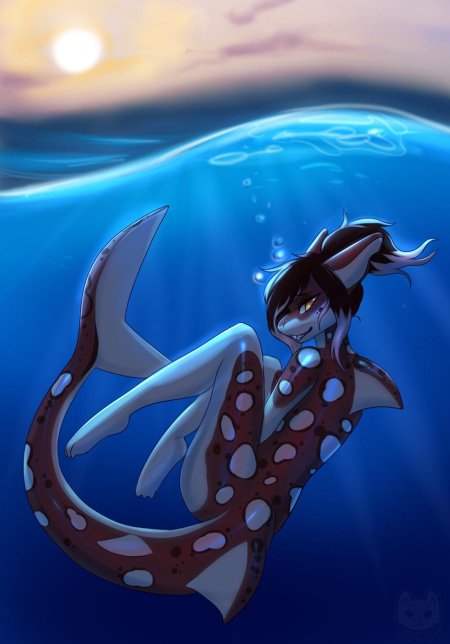 Фурри акулки