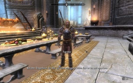 Совнгард исграмор