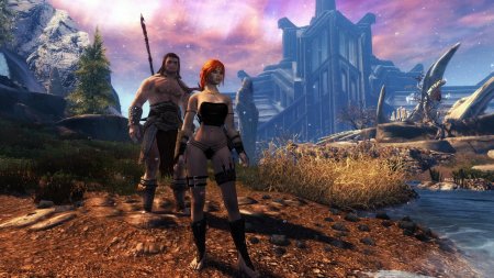 Тсун совнгард