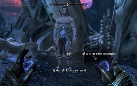 Скайрим игра