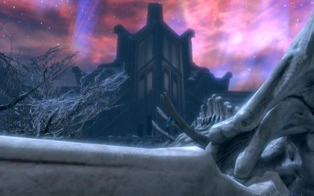 Скайрим мод совнгард