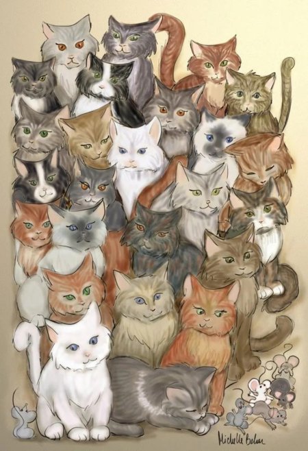 Много кошек
